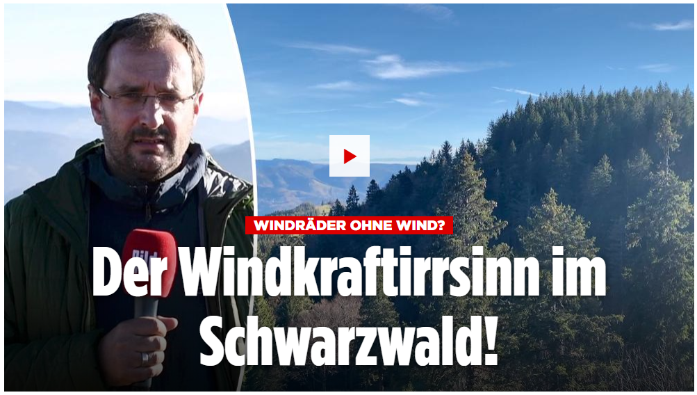 BILD.png