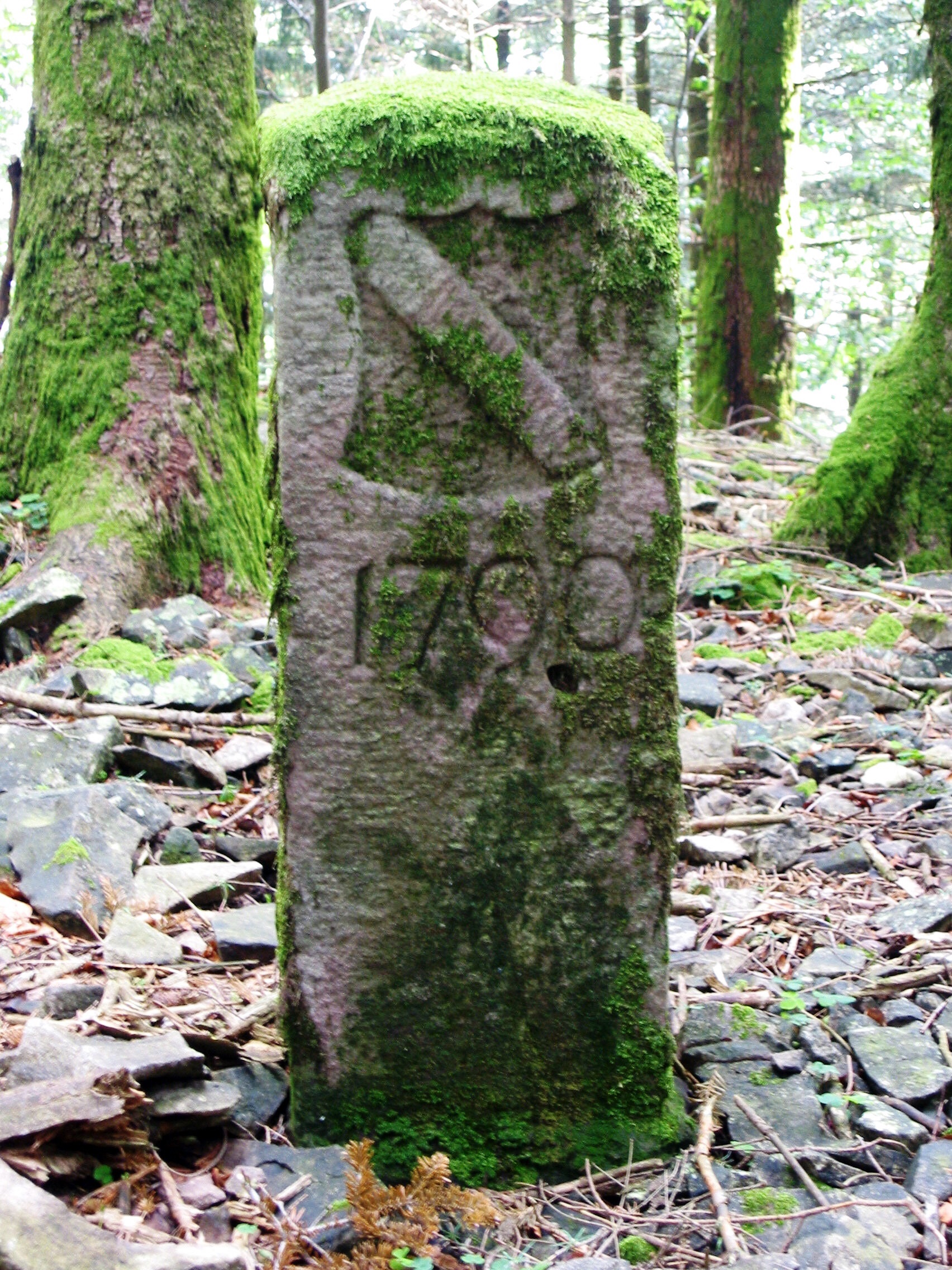 Grenzstein-Grenzweg-Buerchau.jpg