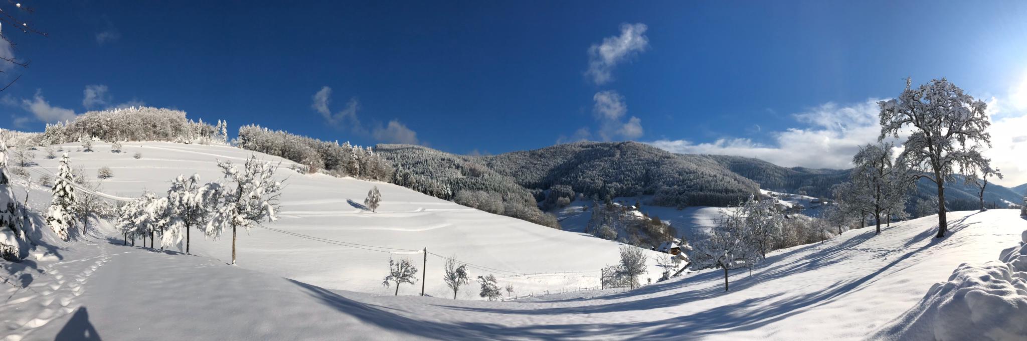 Landschaft.jpeg